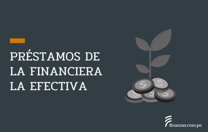 Préstamos de la financiera efectiva